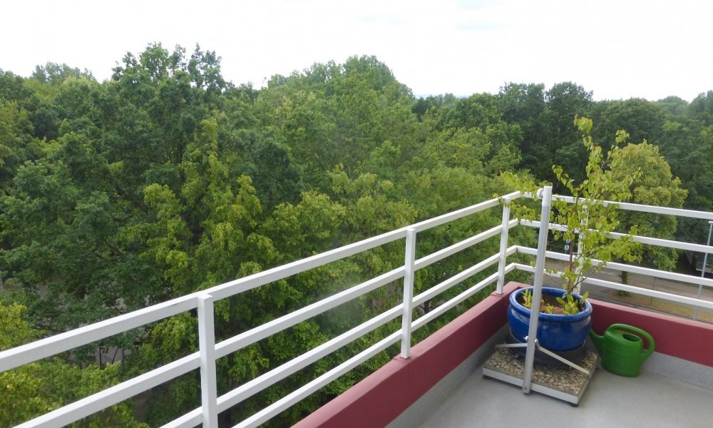 RESERVIERT!! Notartermin steht fest!