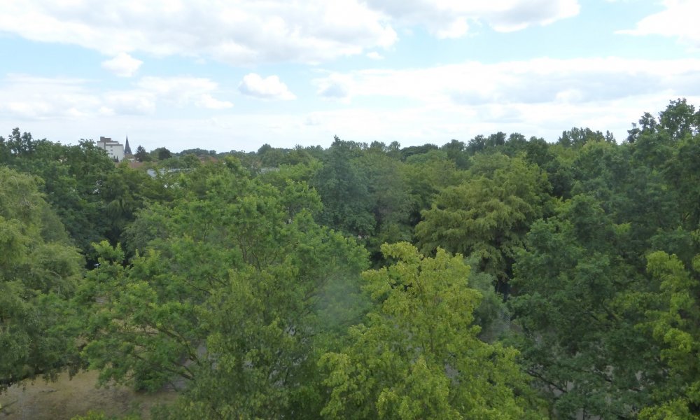 RESERVIERT!! Notartermin steht fest!