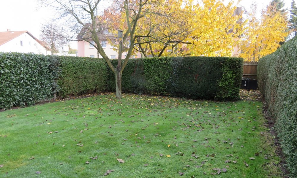 Handwerkerhaus im Zentrum ** provisionsfrei**