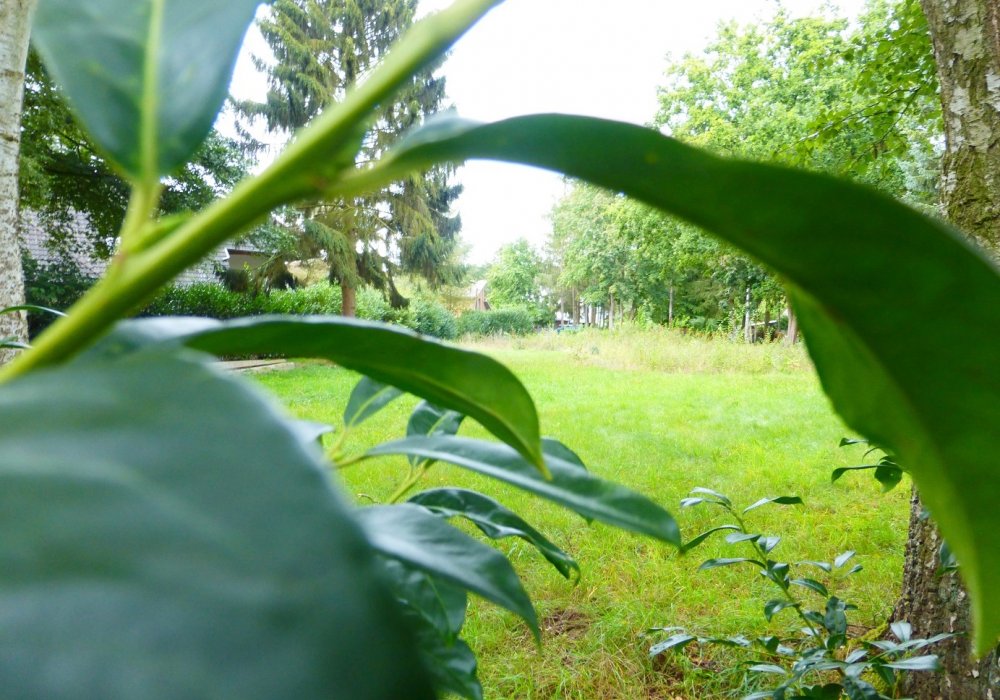 Absolute Rarität an der Wietze