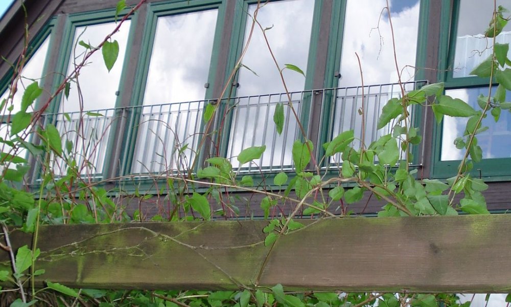 große 2 Zimmer Wohnung im Zentrum, ein wahrer Traum