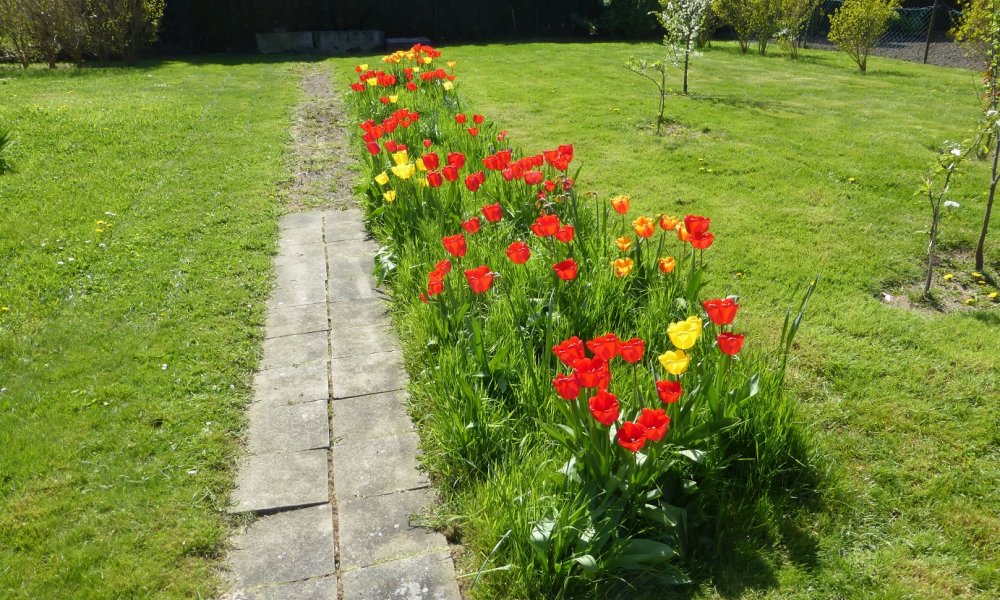 1 Familienhaus zum sanieren
