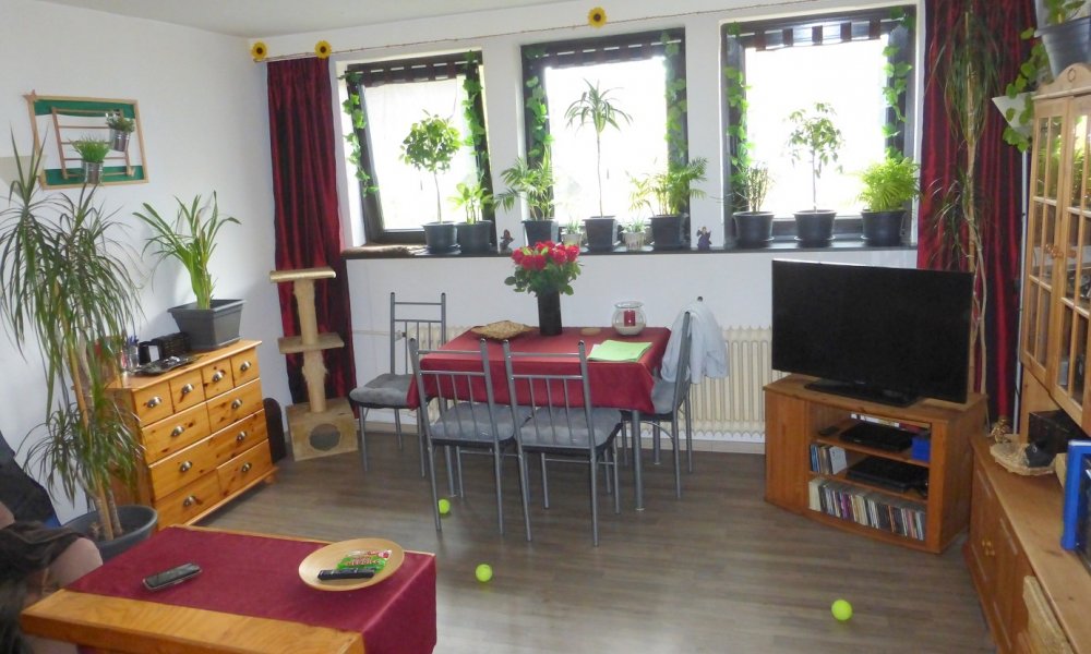 **RESERVIERT bis zum 29.06.2018!!**