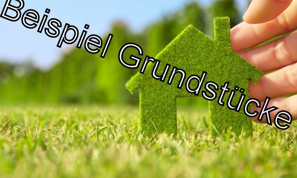 Hinterbebauung mitten in Schwarmstedt, Seltenheitswert!